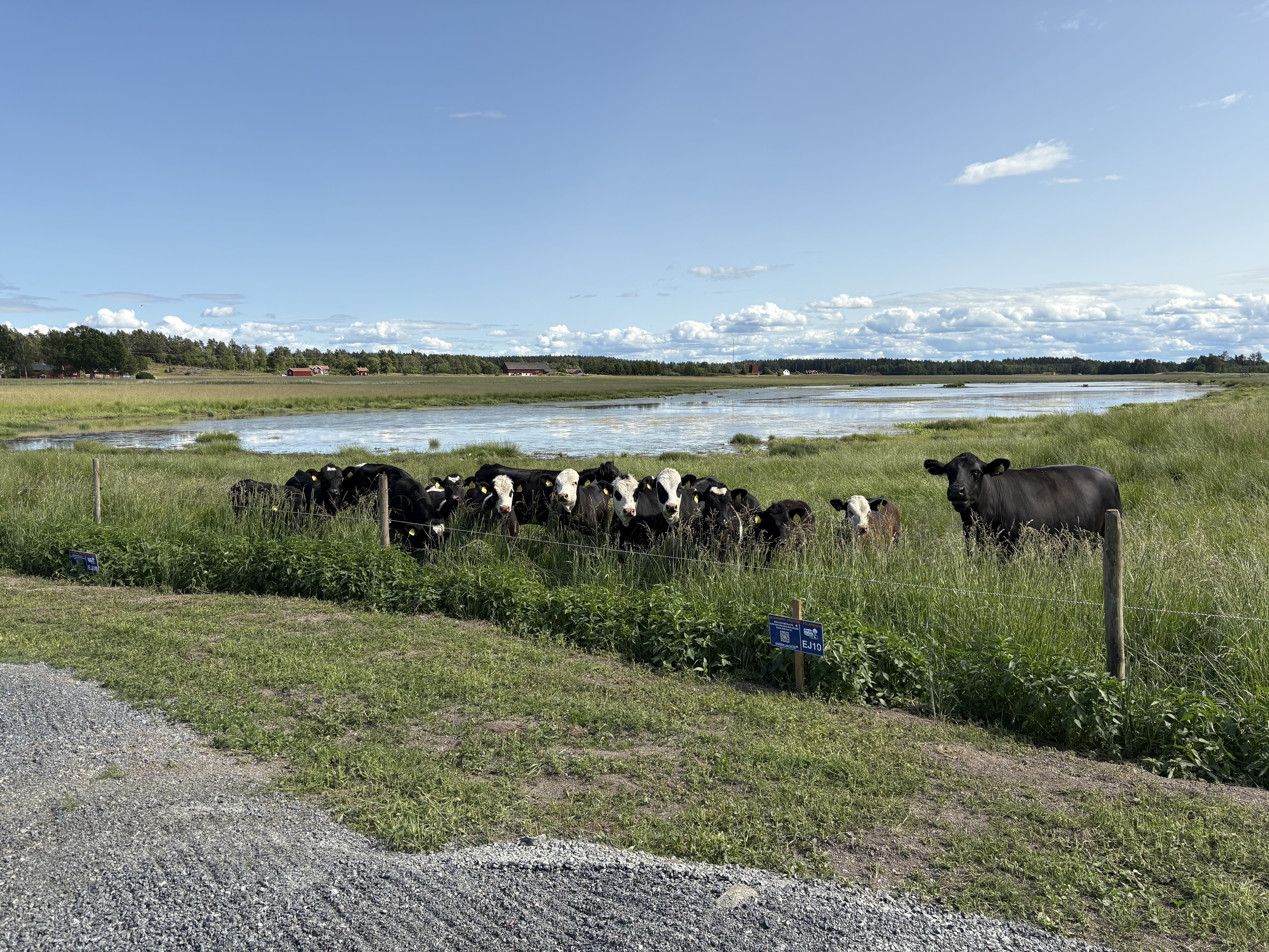 Bild från platsen 2