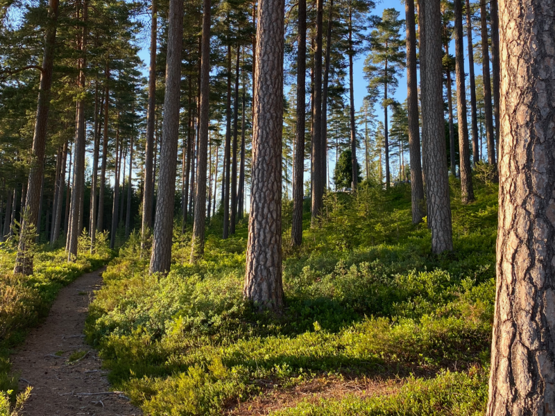 Strömsnäs Camping