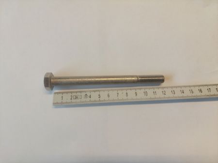 Bult M10 x120mm A4