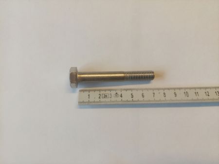 Bult M10x70 mm rostfritt A4